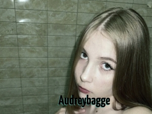 Audreybagge