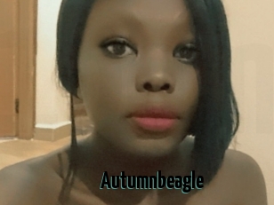 Autumnbeagle