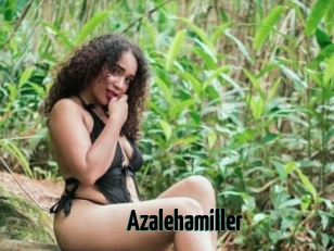Azalehamiller