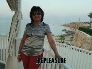 BIGPLEASURE