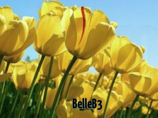 BelleB3