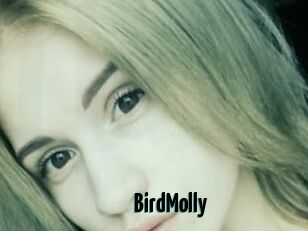 BirdMolly