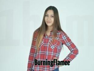 BurningFlamee