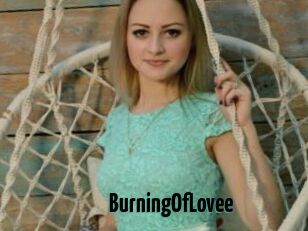 BurningOfLovee