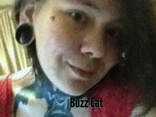 Buzz_Cat