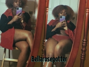 Bellarosepotter