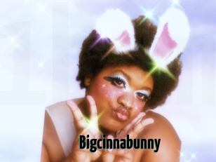 Bigcinnabunny