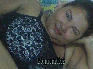 Bigmomtits