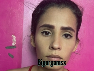 Bigorgamsx