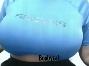 Boobycat