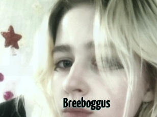 Breeboggus