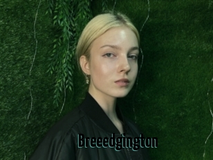 Breeedgington