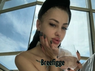 Breefigge