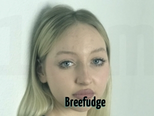 Breefudge
