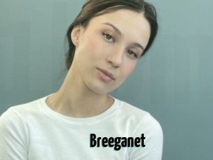 Breeganet
