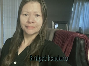 Bridget_banderro