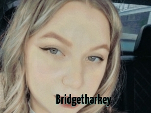 Bridgetharkey