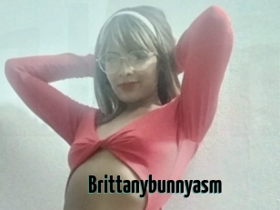 Brittanybunnyasm