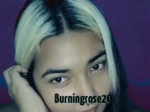 Burningrose20