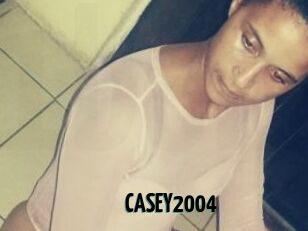 CASEY2004