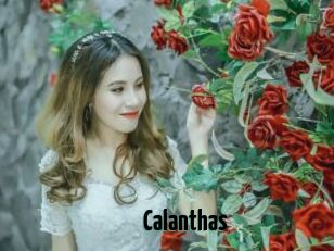 Calanthas
