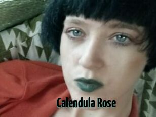 Calendula_Rose