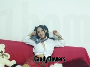 Candyflowers