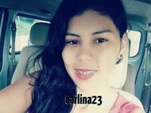 Carlina23