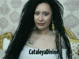 CataleyaDivine