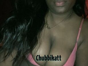 Chubbikatt