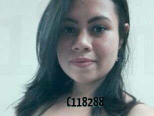 C118288
