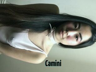 Camini