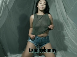 Candicebunny