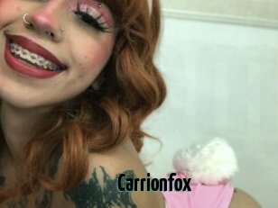 Carrionfox
