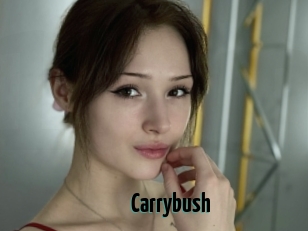 Carrybush