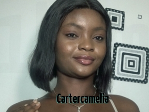 Cartercamelia