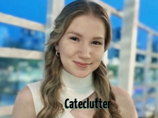 Cateclutter