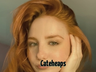 Cateheaps
