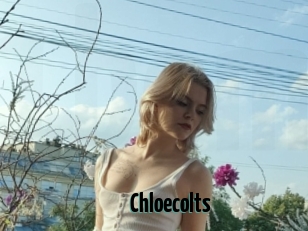 Chloecolts
