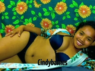 Cindybarnes