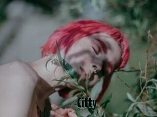Citty