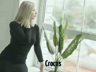 Crocus
