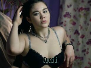 Cuccili