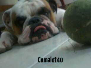 Cumalot4u