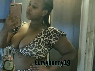 Curvybunny19