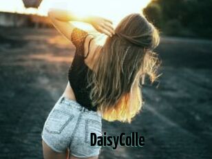 DaisyColle