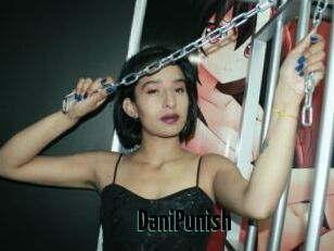 DaniPunish