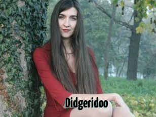 Didgeridoo