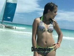 Dinamarin
