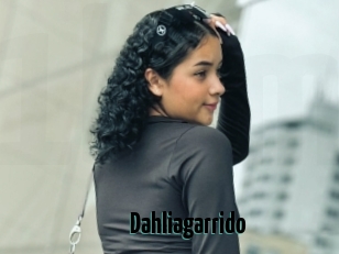 Dahliagarrido